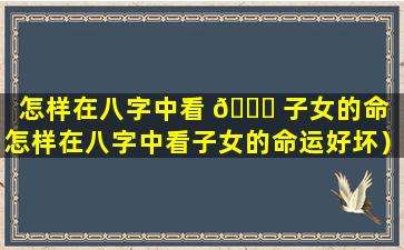 怎样在八字中看 🐞 子女的命（怎样在八字中看子女的命运好坏）